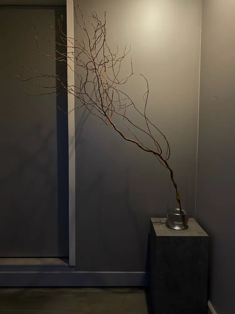 YO nailの内観・外観3