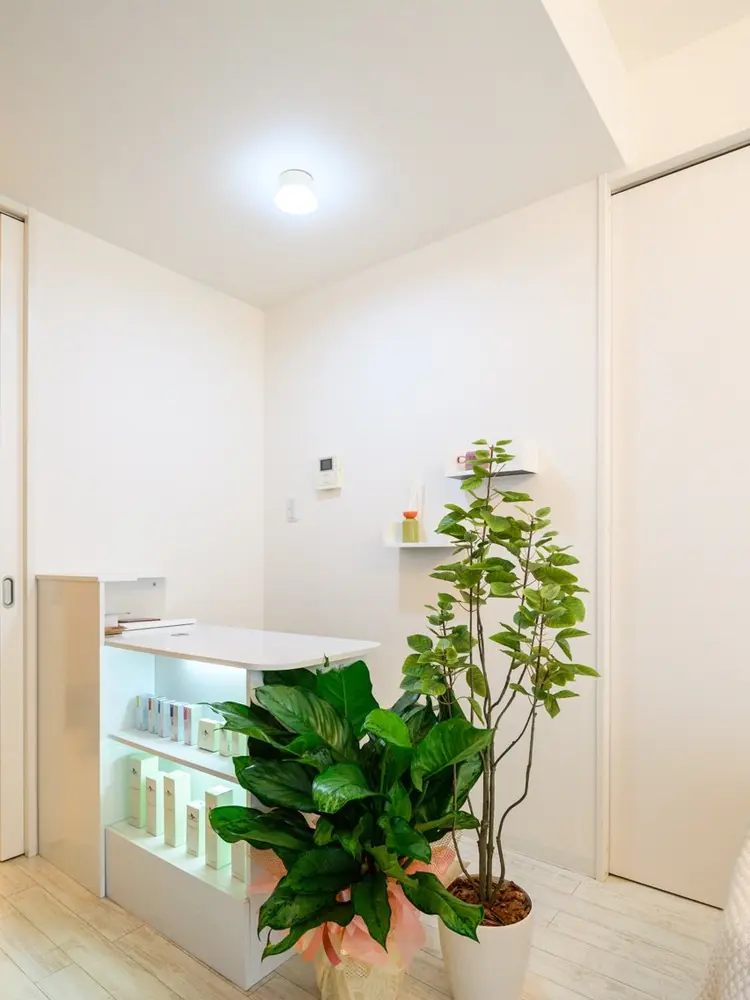 BELLIS HUITの内観・外観1