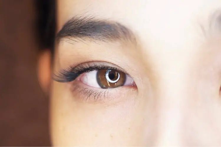 designK 本店の内観・外観2