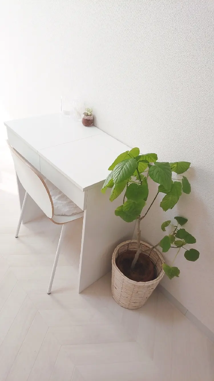 eyelash salon Leaの内観・外観2