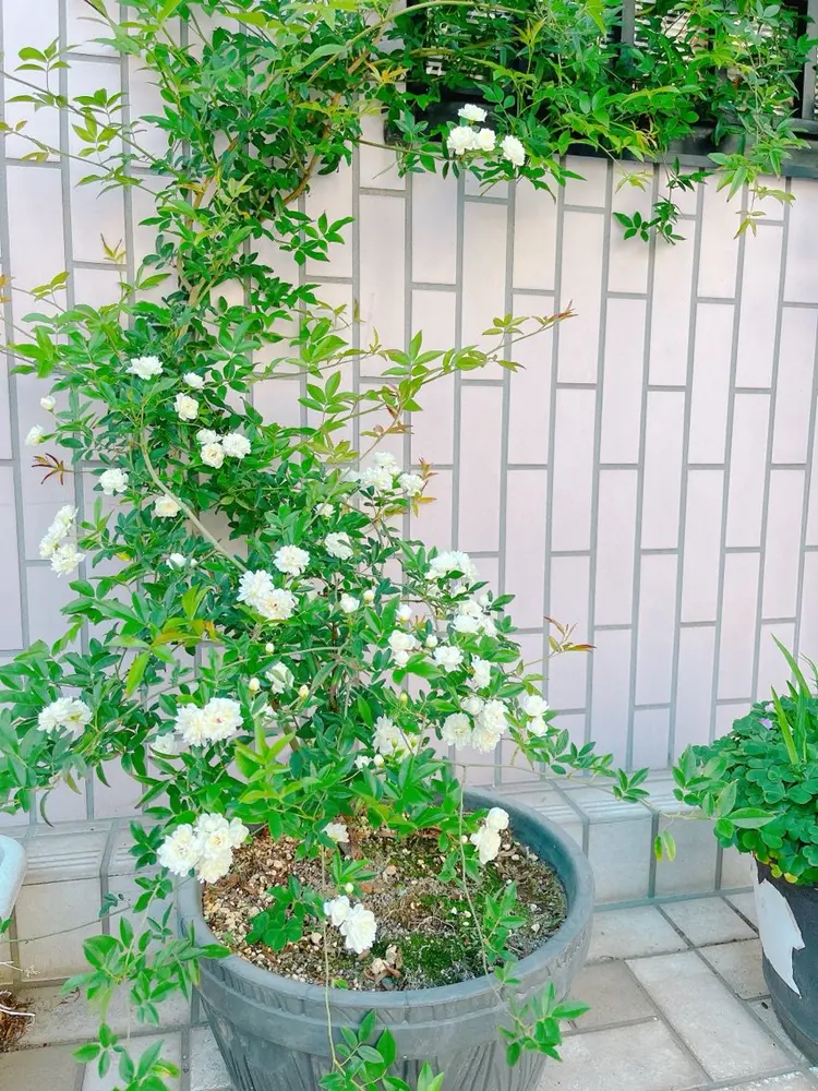 salon de yuの内観・外観3