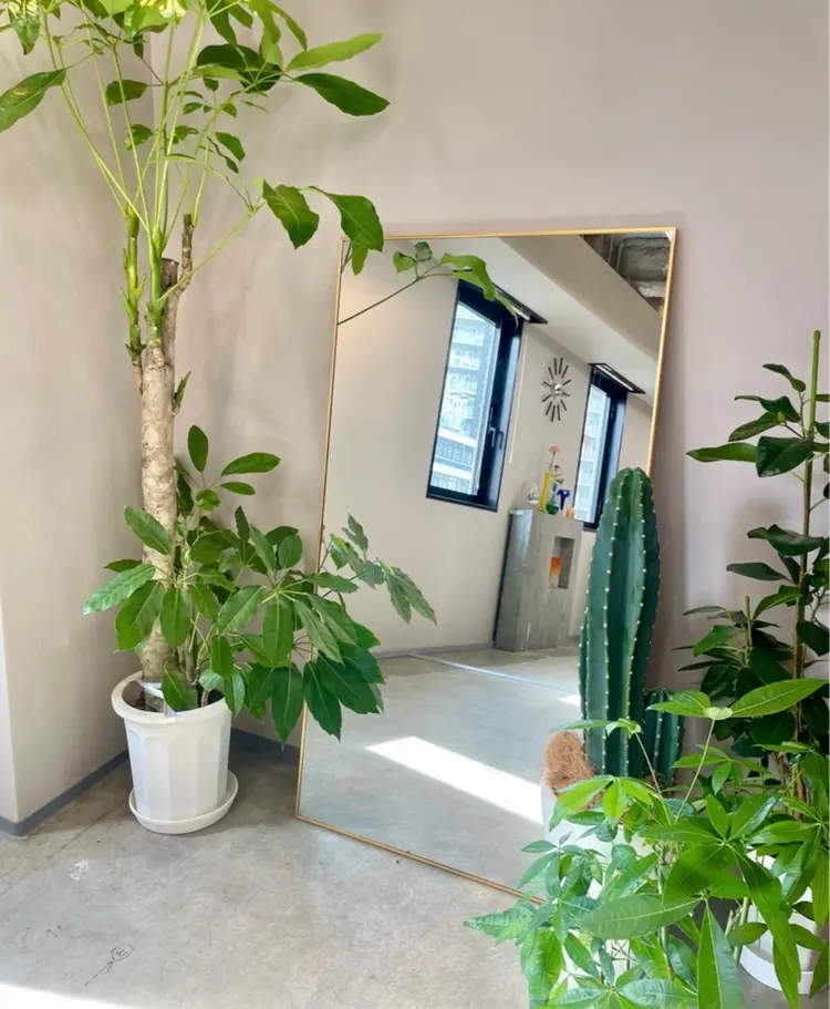 copeuの内観・外観2