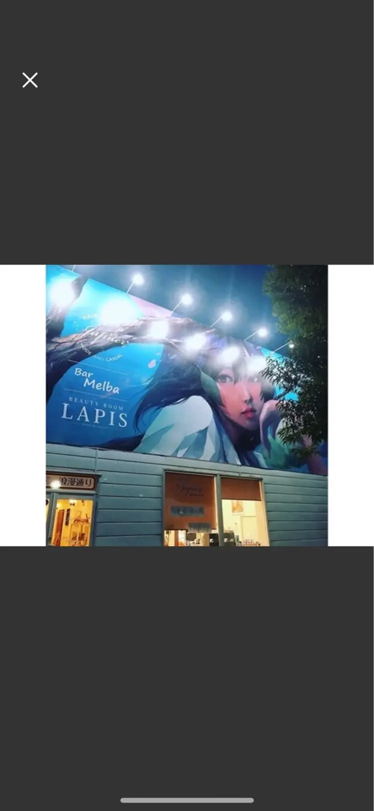 LAPISの内観・外観1