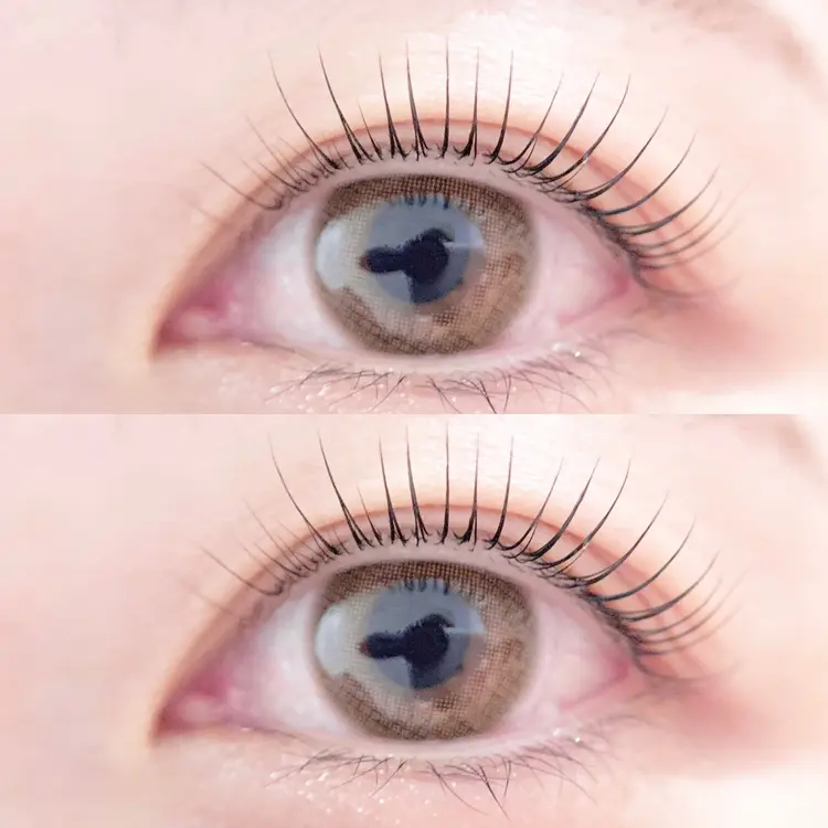 Kurumi.の内観・外観2