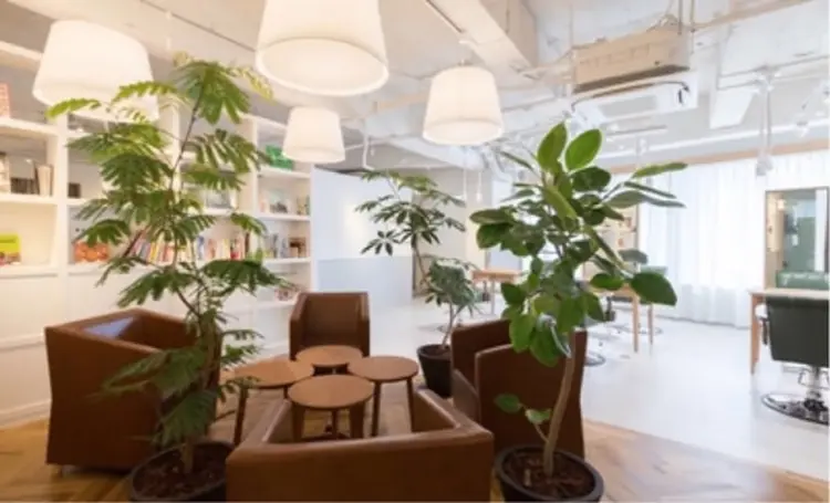 IVY joureの内観・外観2