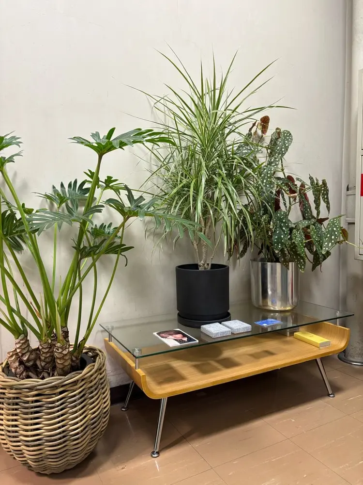 SELNIの内観・外観2