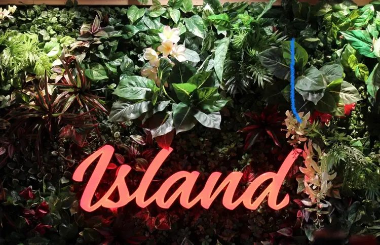 eyebrow & eyelash ileの内観・外観1