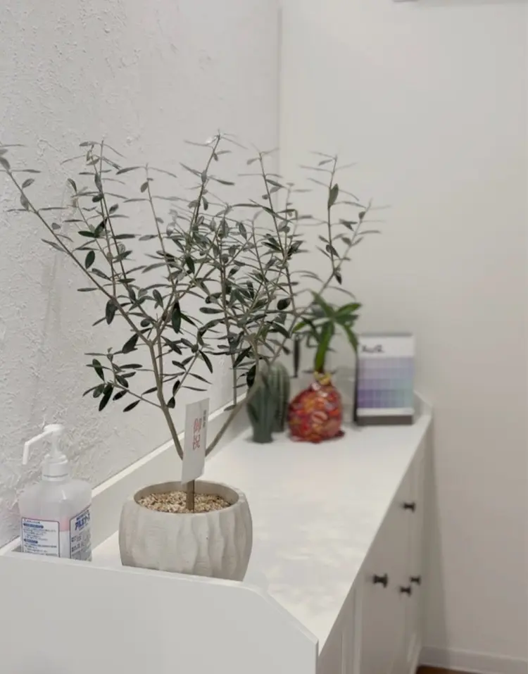 Be Bell（ビベル）の内観・外観1