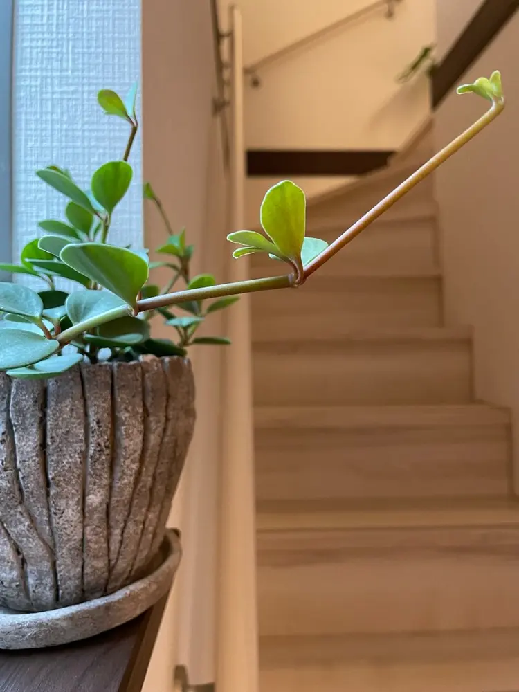 足圧ヨガサロン　m-forestの内観・外観2