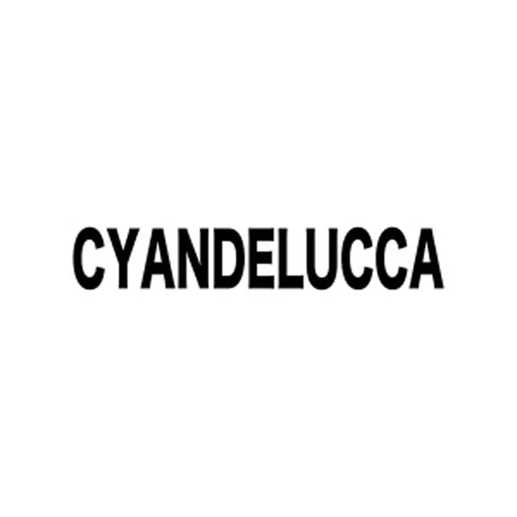 CYANDELUCCAの内観・外観3