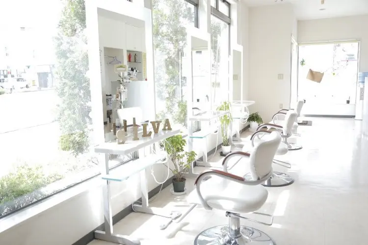 HAIRSILVA徳間店の内観・外観3