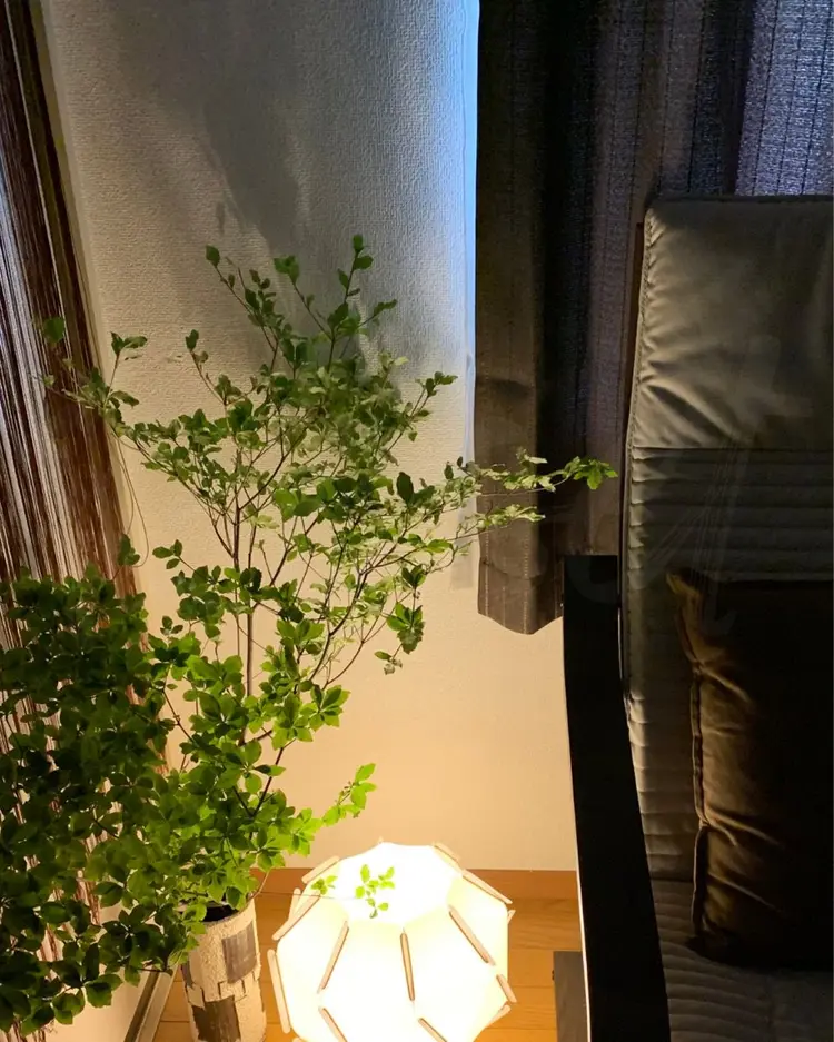 Reset〜relaxation salon〜の内観・外観2