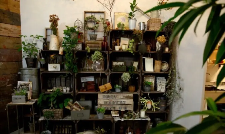 alex recoの内観・外観3