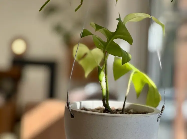 Be-canの内観・外観1