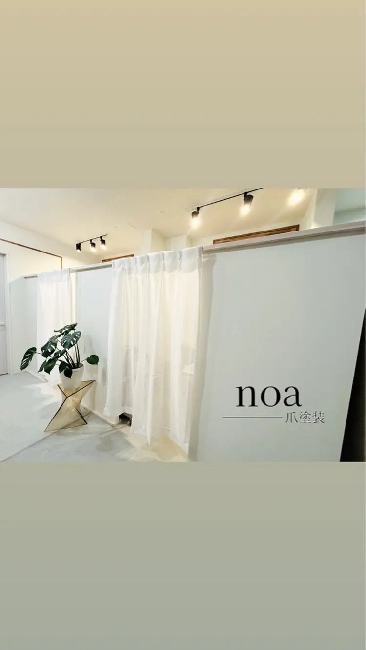 爪塗装noaの内観・外観1