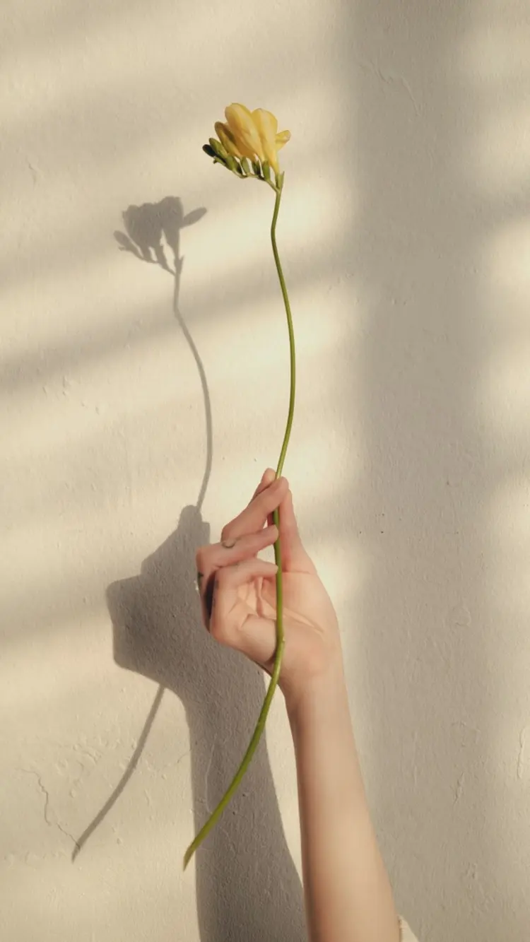 PELÉの内観・外観2