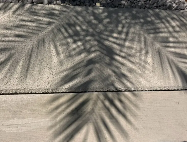 INTYの内観・外観1