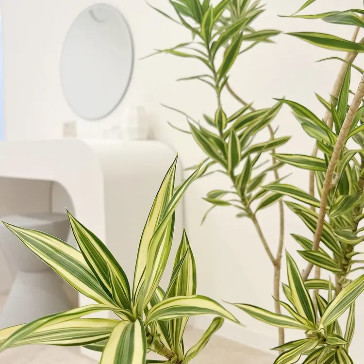 Emmaの内観・外観1