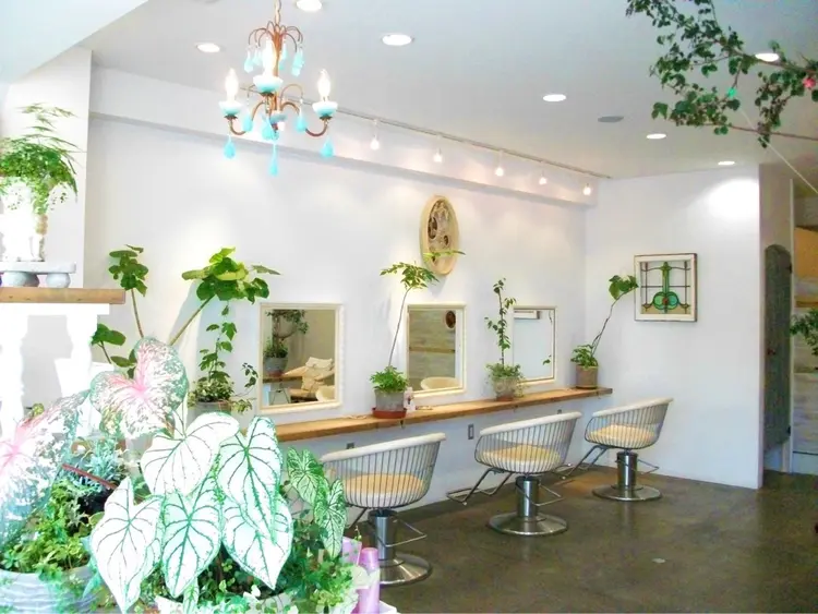 𝙼𝚒𝚎𝚗𝚎 𝚙𝚒𝚗𝚔の内観・外観1