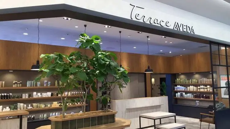 Terrace AVEDA ららぽーとEXPOCITY店の内観・外観1