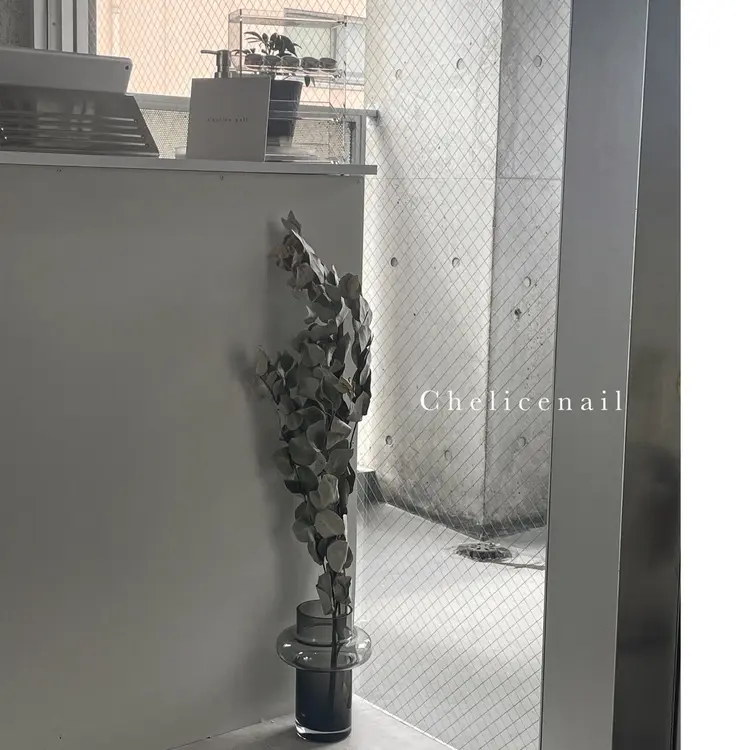 Chelice nailの内観・外観1