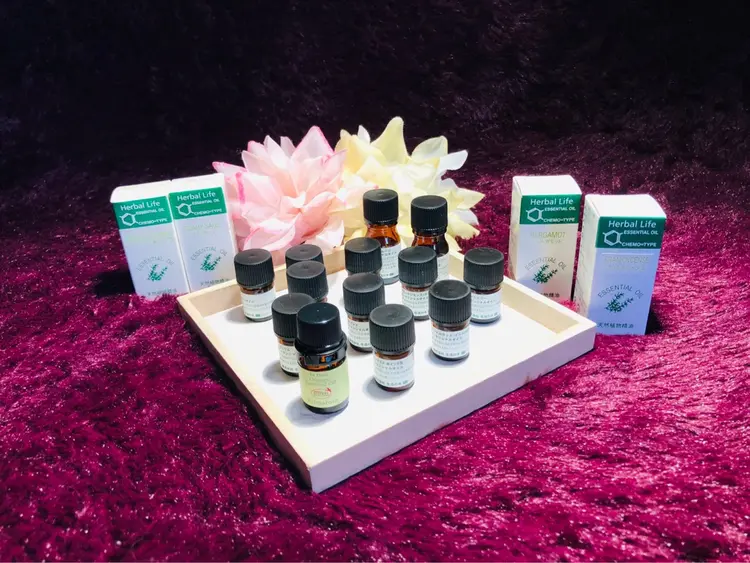 レトロワ アンジュの内観・外観2