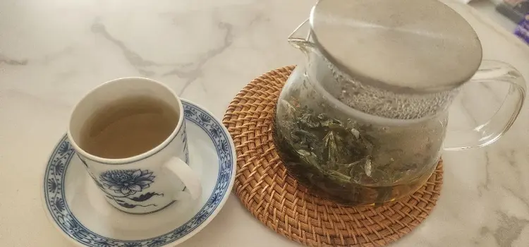 よもぎ蒸しかなめの内観・外観2