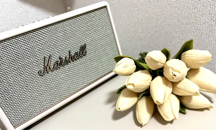 Celeste Venusの内観・外観1