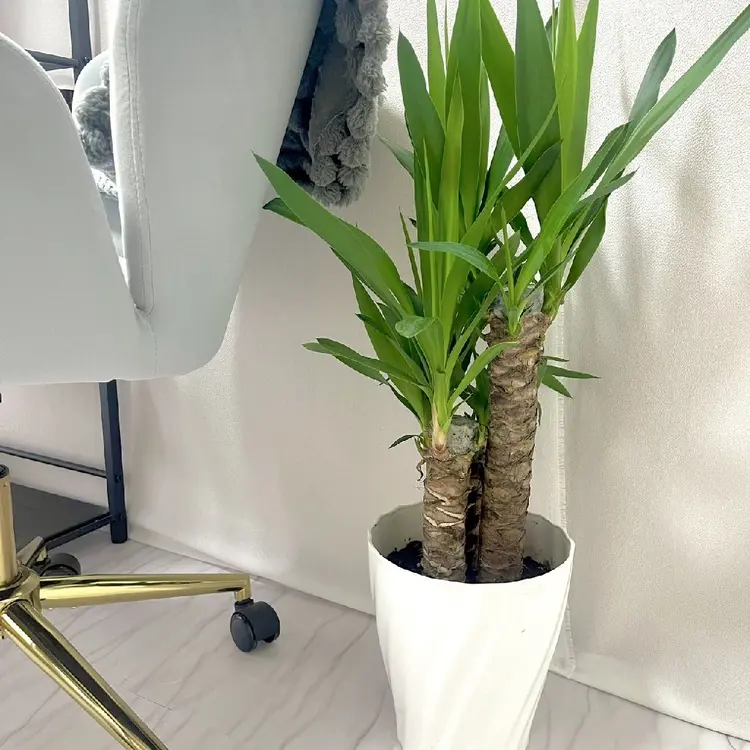 fox.nailの内観・外観2