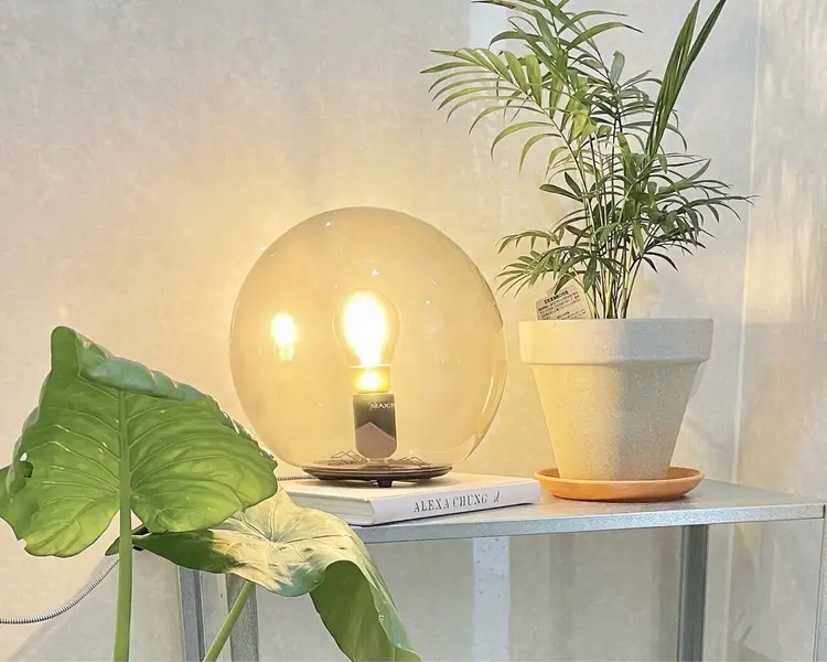 :o　eyedesignの内観・外観3