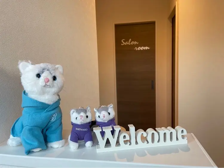 メナードフェイシャルサロン東近江宮荘の内観・外観3