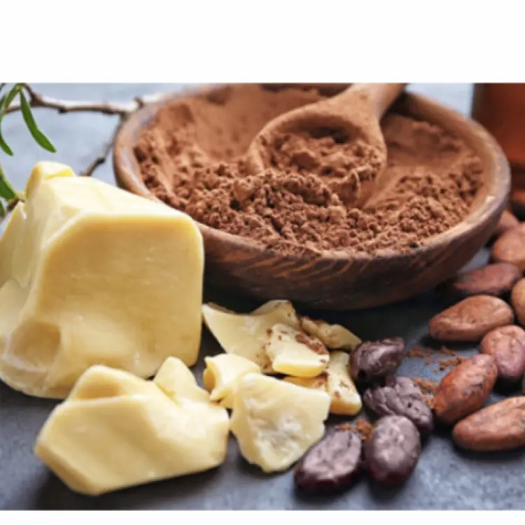 プライベートサロン　COCOA  Mの内観・外観1