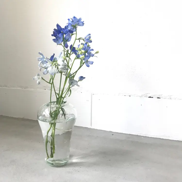 NUUの内観・外観2