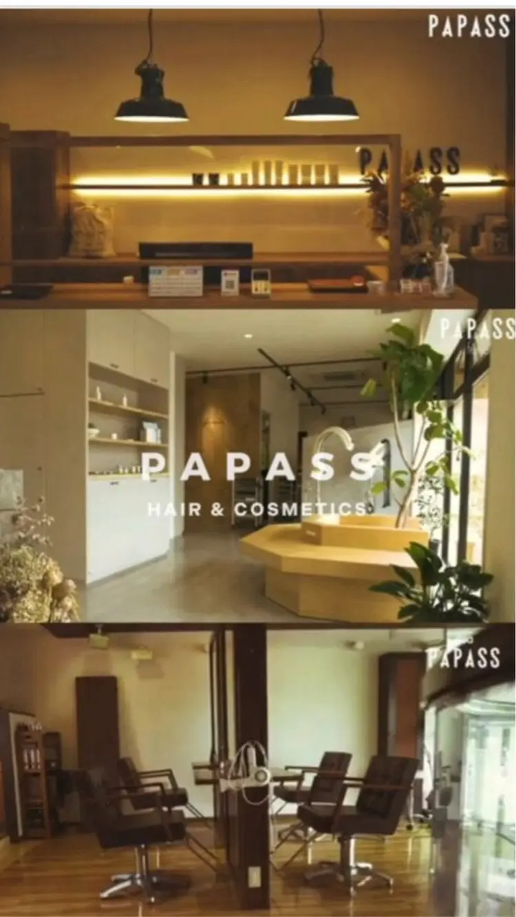 dua PAPASSドゥアパパスの内観・外観1