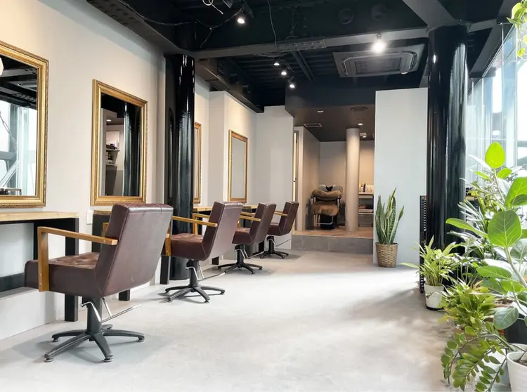 CYANDELUCCAの内観・外観1