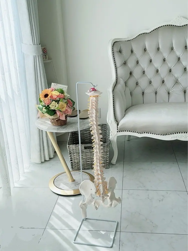 美姿勢シンメトリーサロンShine豊中店の内観・外観3