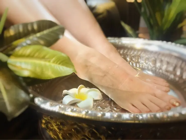 Apsaras putihの内観・外観3