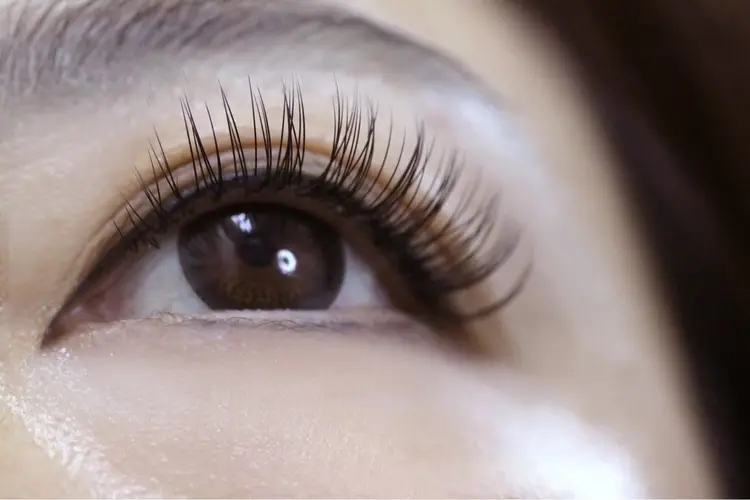 eyebrow & eyelash ileの内観・外観1