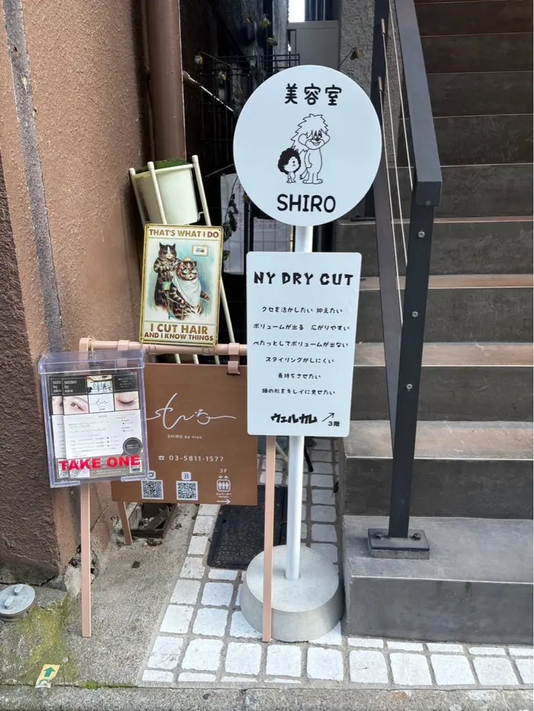 SHIRObynicoの内観・外観2