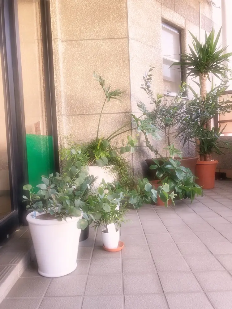 メナード フェイシャルサロン 西区菱木の内観・外観3