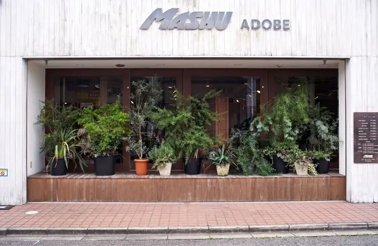 MASHU  adobe(アドベ)店の内観・外観1