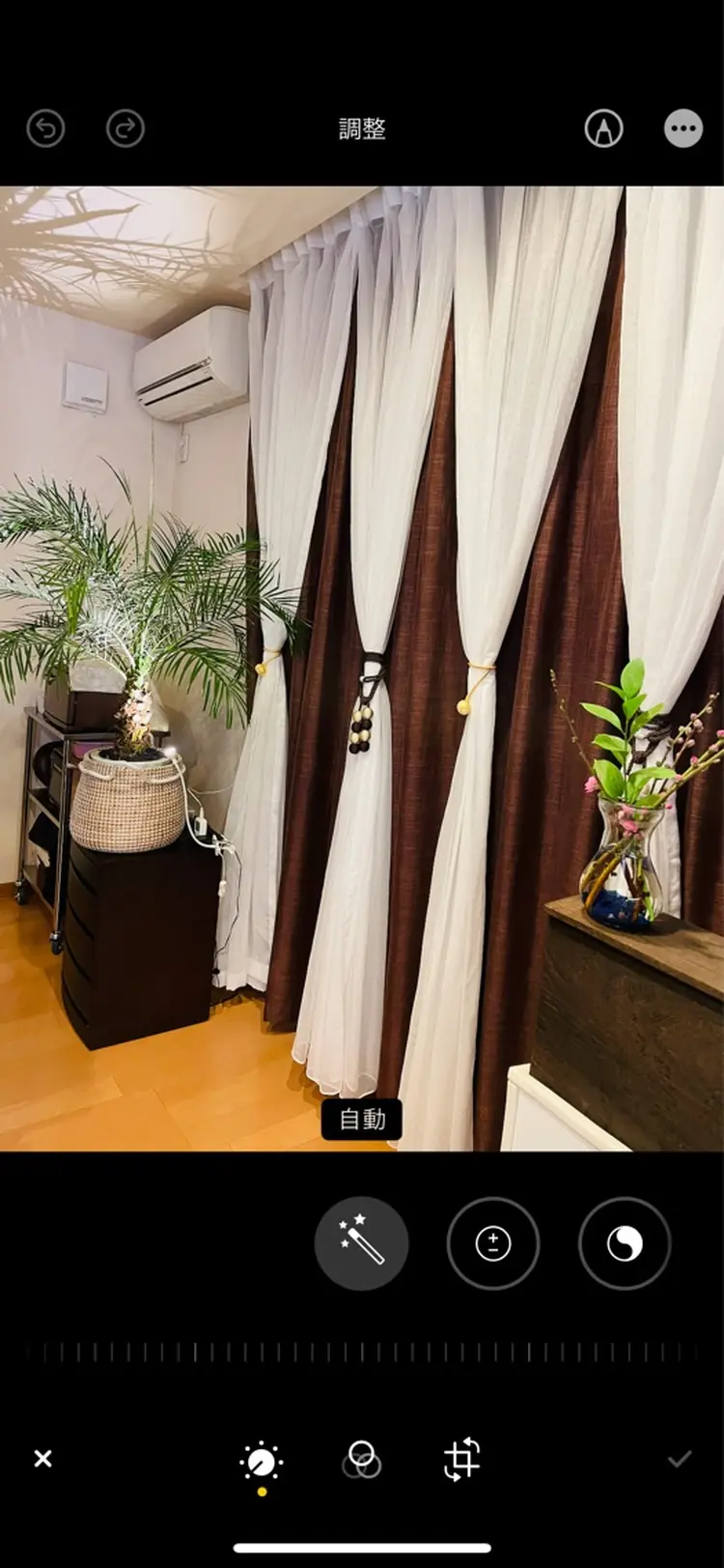 ロニセラアイラッシュの内観・外観1