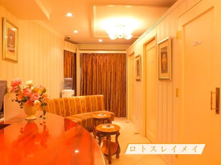 ロトスレイメイの内観・外観1