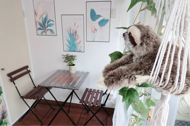 COMFYの内観・外観2