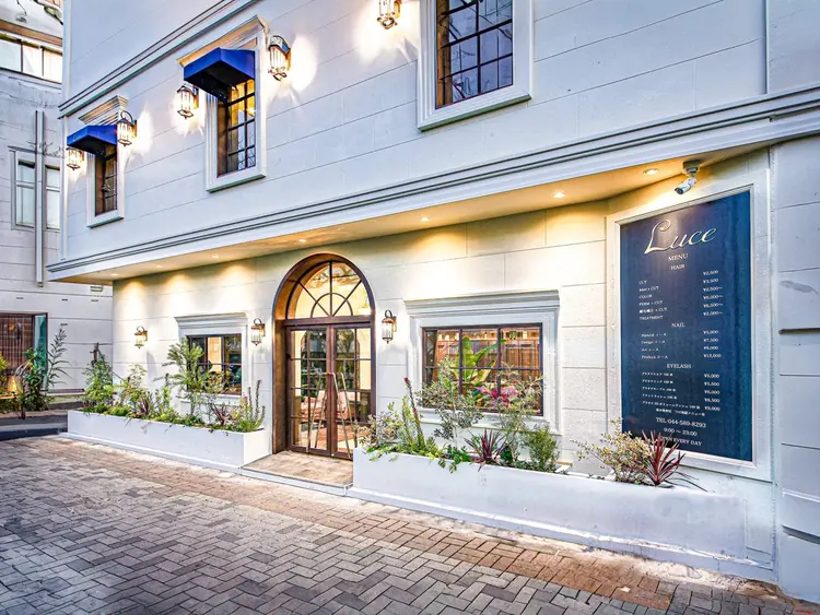 Luce川崎の内観・外観1