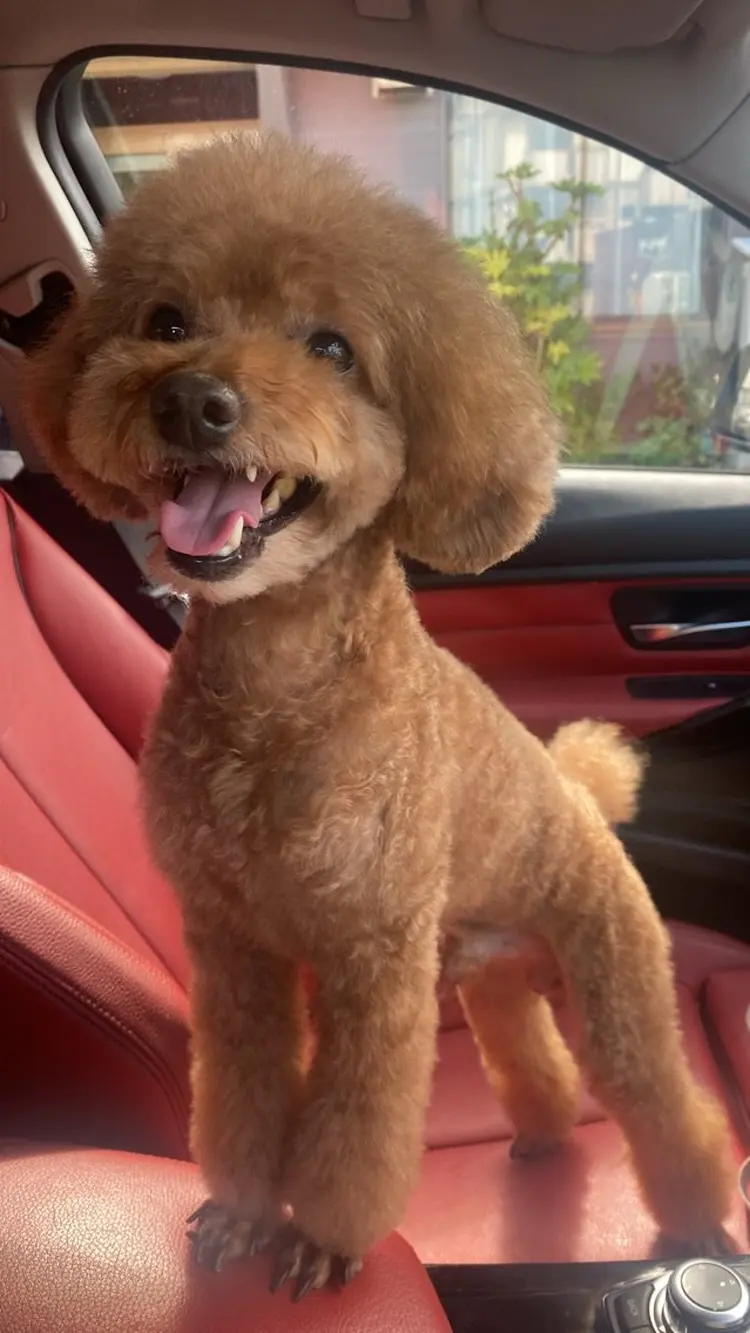 Isinhanailsの内観・外観3