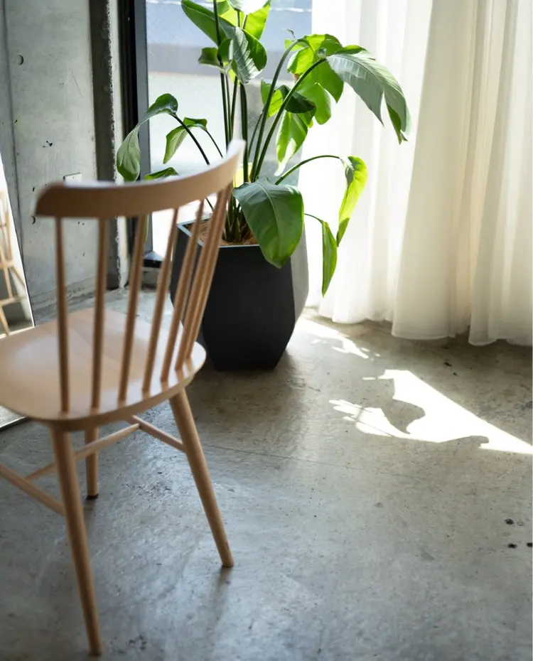 AIN.ANLY.の内観・外観2