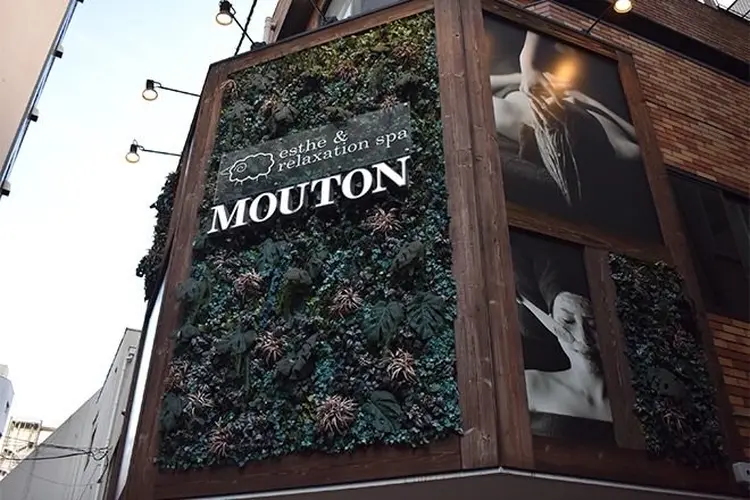 mouton eyeの内観・外観1