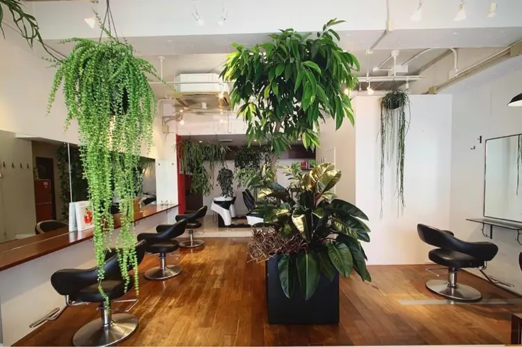 DOG MANIA PiNCHの内観・外観1