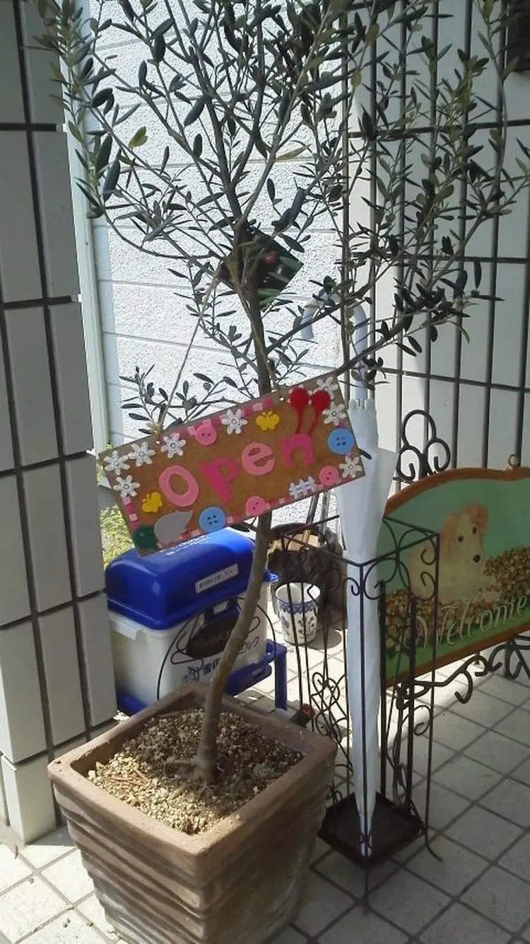 アロマレディの内観・外観3